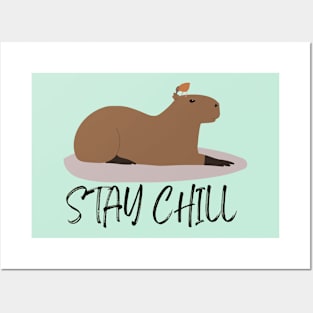 Capybara, Stay chill Posters and Art